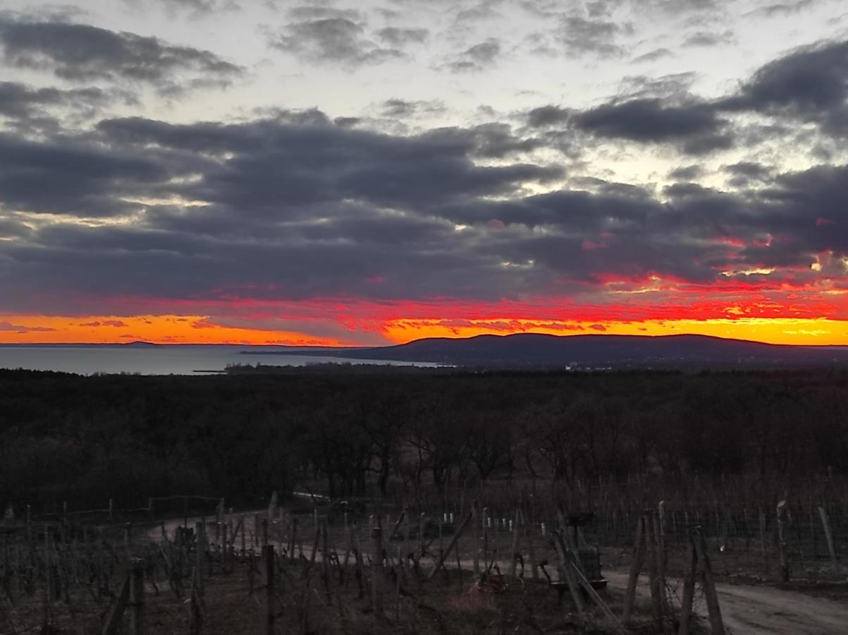 Napraszallas Vendeghaz Balatonakali Exterior foto