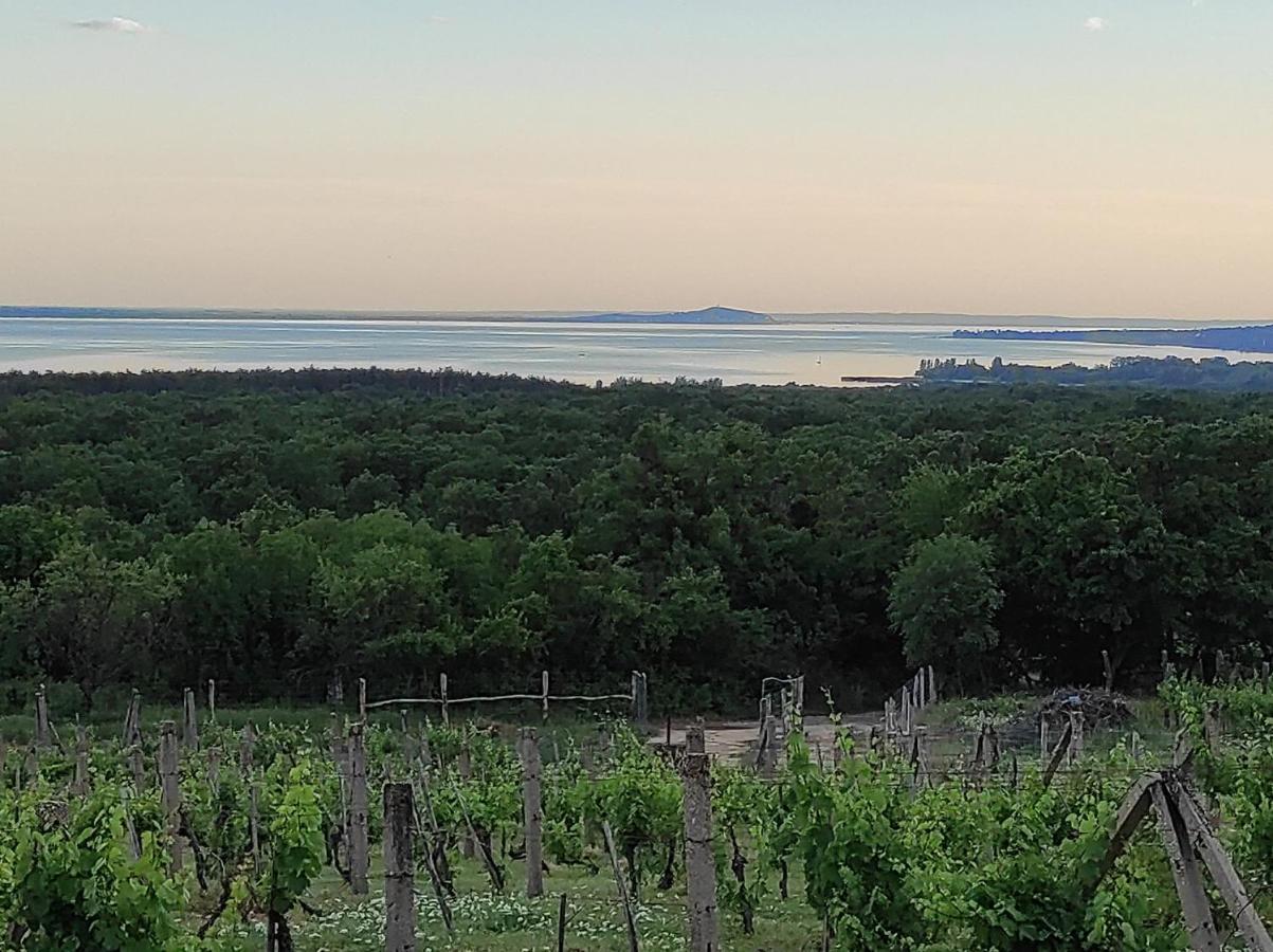 Napraszallas Vendeghaz Balatonakali Exterior foto