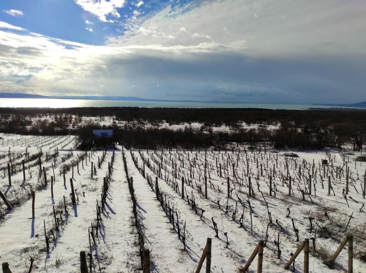 Napraszallas Vendeghaz Balatonakali Exterior foto