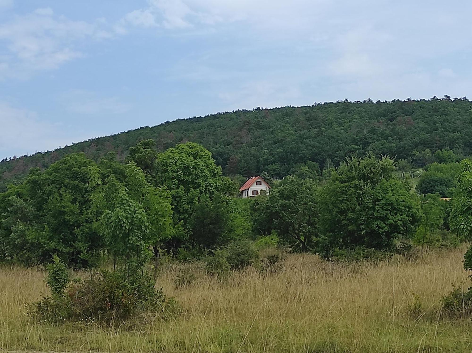 Napraszallas Vendeghaz Balatonakali Exterior foto